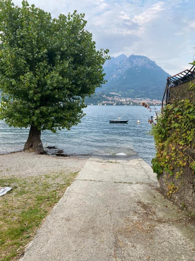 Al Cottage Oliveto Lario Dış mekan fotoğraf